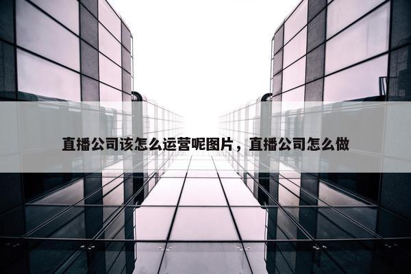 直播公司该怎么运营呢图片，直播公司怎么做