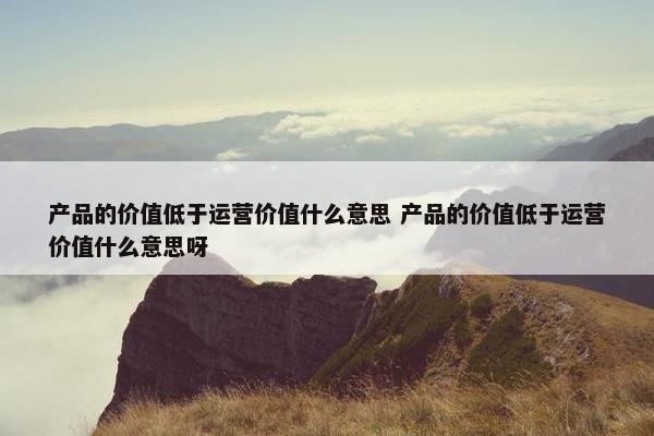 产品的价值低于运营价值什么意思 产品的价值低于运营价值什么意思呀