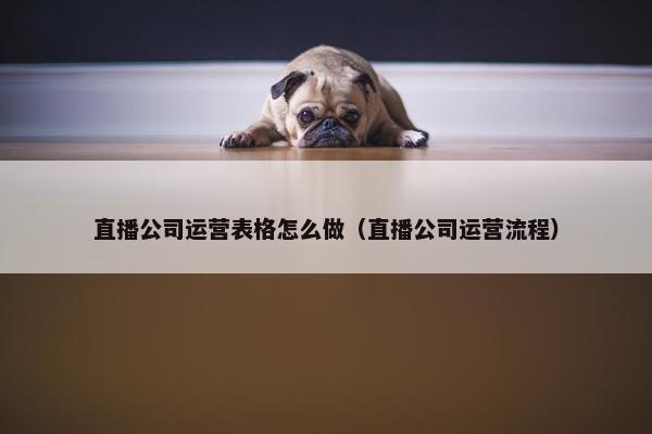 直播公司运营表格怎么做（直播公司运营流程）