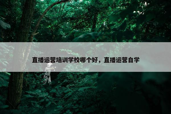 直播运营培训学校哪个好，直播运营自学