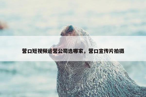 营口短视频运营公司选哪家，营口宣传片拍摄