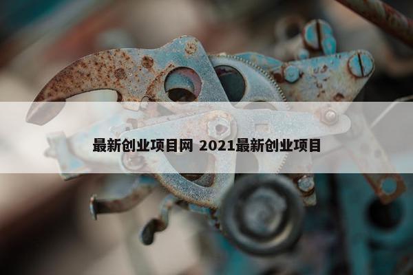 最新创业项目网 2021最新创业项目
