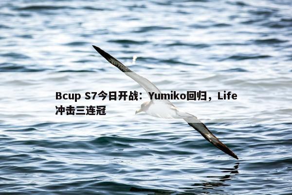 Bcup S7今日开战：Yumiko回归，Life冲击三连冠