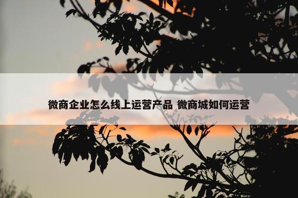 微商企业怎么线上运营产品 微商城如何运营