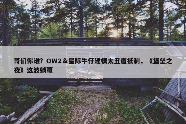 哥们你谁？OW2＆星际牛仔建模太丑遭抵制，《堡垒之夜》这波躺赢