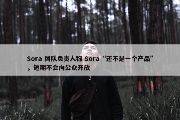 Sora 团队负责人称 Sora“还不是一个产品”，短期不会向公众开放