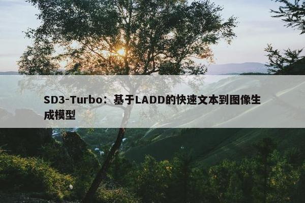 SD3-Turbo：基于LADD的快速文本到图像生成模型