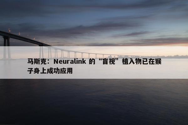 马斯克：Neuralink 的“盲视”植入物已在猴子身上成功应用
