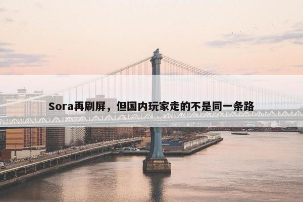 Sora再刷屏，但国内玩家走的不是同一条路