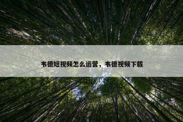 韦德短视频怎么运营，韦德视频下载