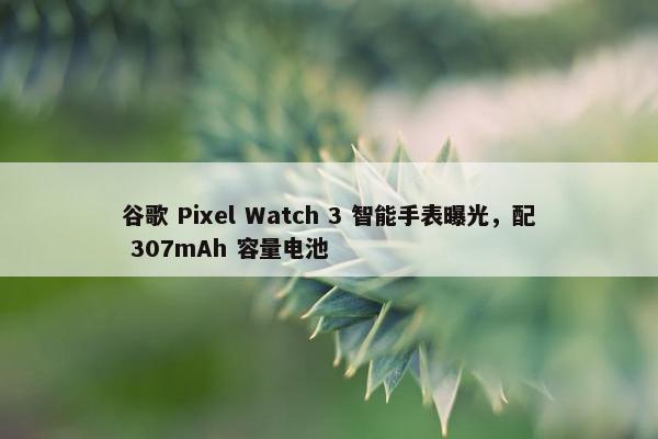 谷歌 Pixel Watch 3 智能手表曝光，配 307mAh 容量电池