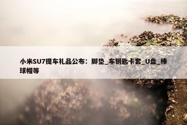 小米SU7提车礼品公布：脚垫_车钥匙卡套_U盘_棒球帽等