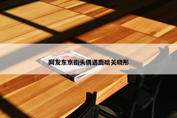 网友东京街头偶遇鹿晗关晓彤