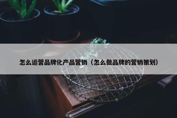 怎么运营品牌化产品营销（怎么做品牌的营销策划）