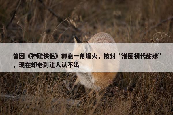 曾因《神雕侠侣》郭襄一角爆火，被封“港圈初代甜妹”，现在却老到让人认不出