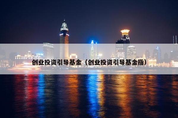 创业投资引导基金（创业投资引导基金指）