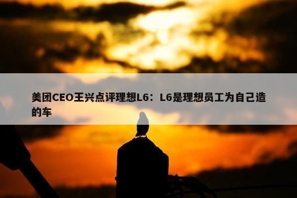 美团CEO王兴点评理想L6：L6是理想员工为自己造的车