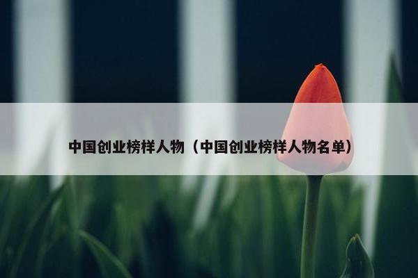 中国创业榜样人物（中国创业榜样人物名单）
