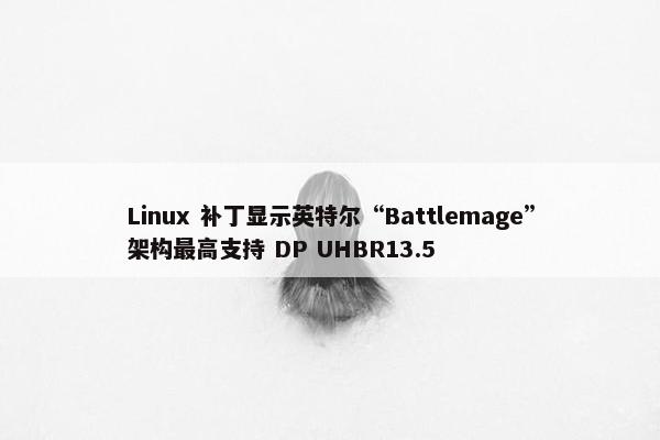 Linux 补丁显示英特尔“Battlemage”架构最高支持 DP UHBR13.5
