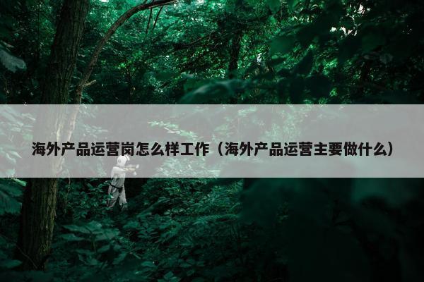 海外产品运营岗怎么样工作（海外产品运营主要做什么）