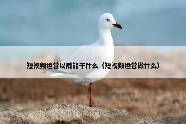 短视频运营以后能干什么（短视频运营做什么）