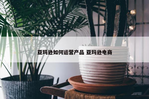 亚玛逊如何运营产品 亚玛逊电商