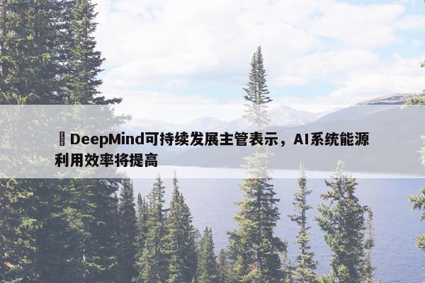 ​DeepMind可持续发展主管表示，AI系统能源利用效率将提高