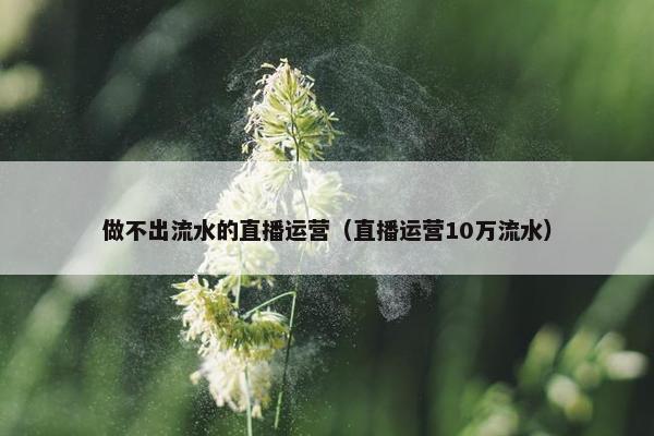 做不出流水的直播运营（直播运营10万流水）