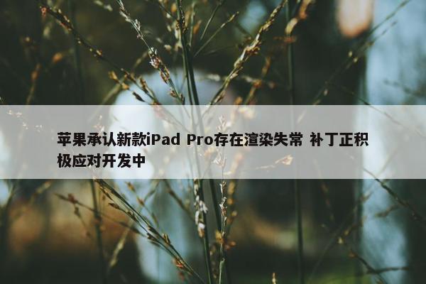 苹果承认新款iPad Pro存在渲染失常 补丁正积极应对开发中