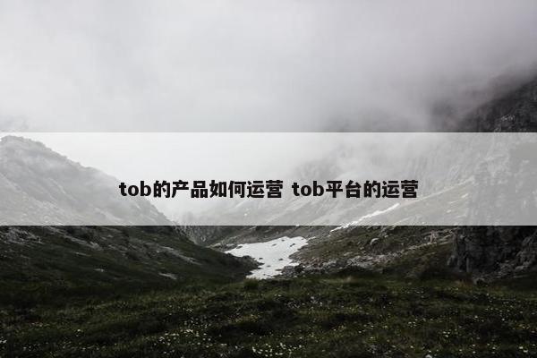 tob的产品如何运营 tob平台的运营