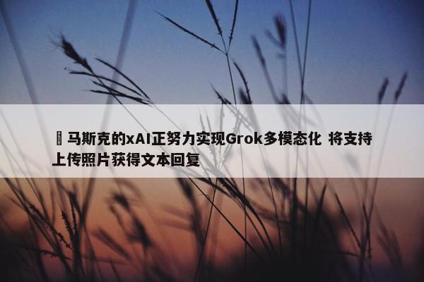 ​马斯克的xAI正努力实现Grok多模态化 将支持上传照片获得文本回复