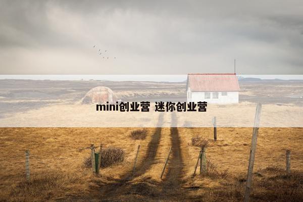 mini创业营 迷你创业营