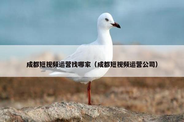 成都短视频运营找哪家（成都短视频运营公司）