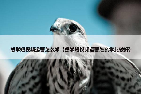 想学短视频运营怎么学（想学短视频运营怎么学比较好）