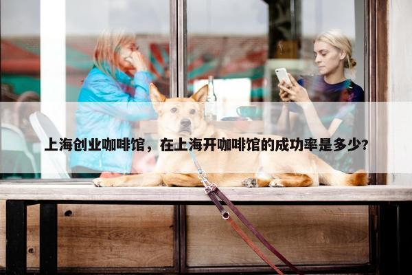 上海创业咖啡馆，在上海开咖啡馆的成功率是多少?