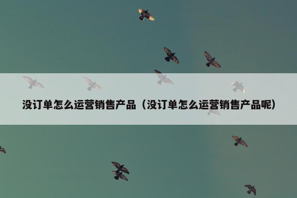 没订单怎么运营销售产品（没订单怎么运营销售产品呢）