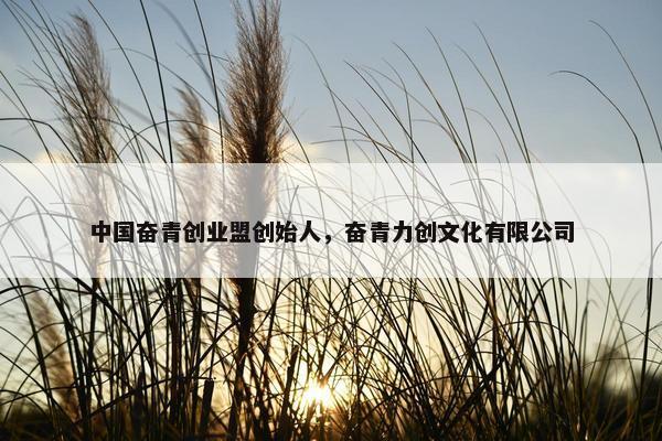 中国奋青创业盟创始人，奋青力创文化有限公司