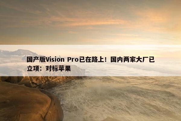 国产版Vision Pro已在路上！国内两家大厂已立项：对标苹果