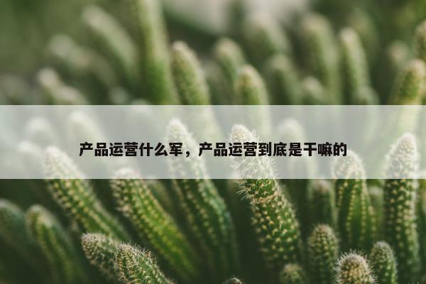 产品运营什么军，产品运营到底是干嘛的