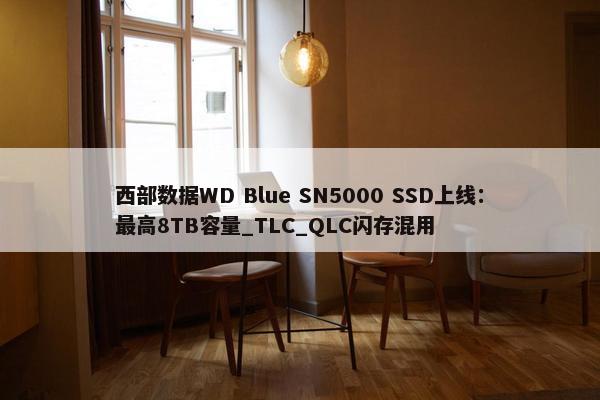 西部数据WD Blue SN5000 SSD上线：最高8TB容量_TLC_QLC闪存混用