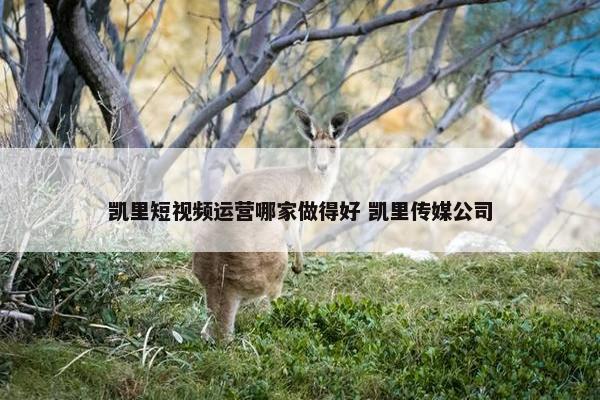 凯里短视频运营哪家做得好 凯里传媒公司