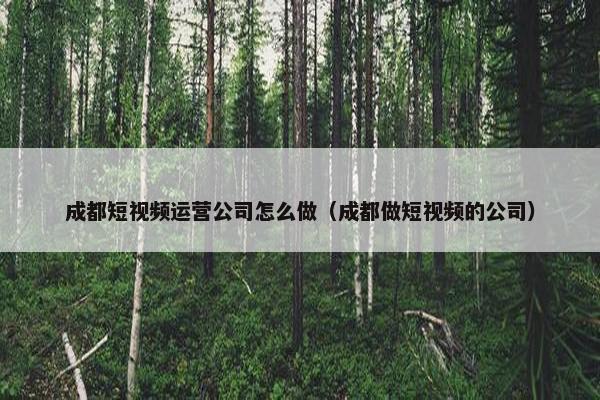 成都短视频运营公司怎么做（成都做短视频的公司）