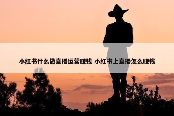 小红书什么做直播运营赚钱 小红书上直播怎么赚钱