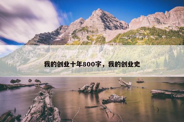 我的创业十年800字，我的创业史