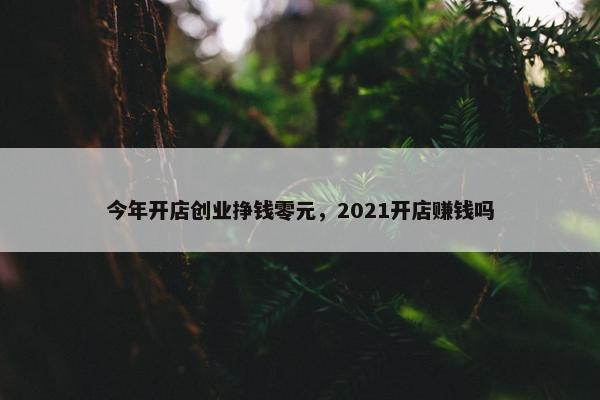 今年开店创业挣钱零元，2021开店赚钱吗