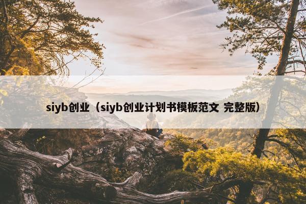 siyb创业（siyb创业计划书模板范文 完整版）