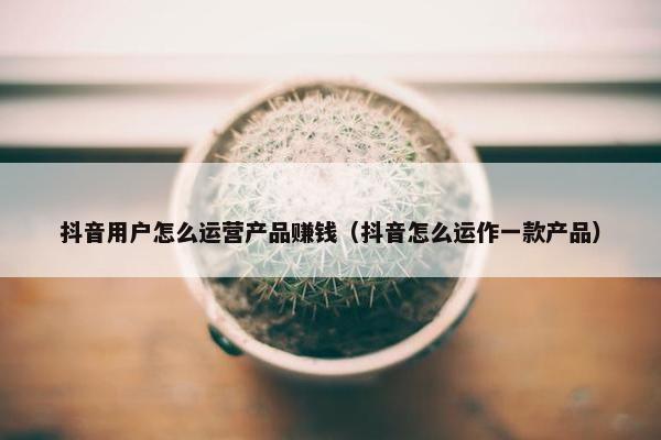 抖音用户怎么运营产品赚钱（抖音怎么运作一款产品）