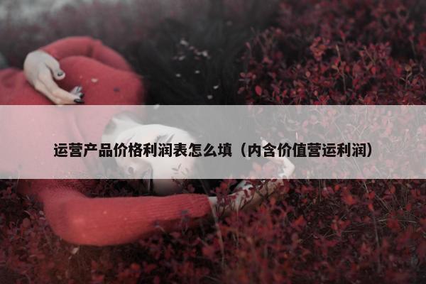 运营产品价格利润表怎么填（内含价值营运利润）