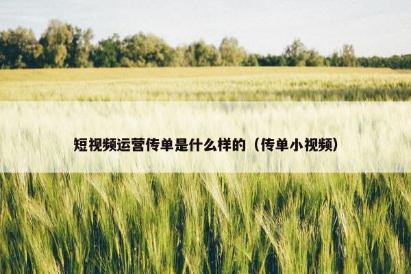 短视频运营传单是什么样的（传单小视频）