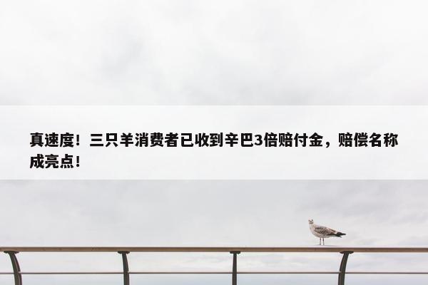 真速度！三只羊消费者已收到辛巴3倍赔付金，赔偿名称成亮点！